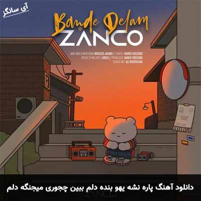 دانلود آهنگ پاره نشه یهو بنده دلم ببین چجوری میجنگه دلم زانکو